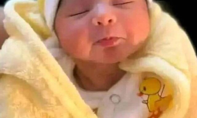 543541177_122319771812007143_777974721975713762_n-780x470