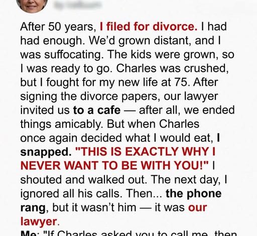 545675807_122307062222007122_4379327420593000004_n-512x470