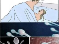 Studies reveal that swallowing your partner’s semen…