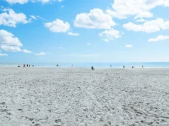 Move-In Ready Oceanfront Myrtle Beach Condo. $78,900