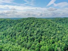 72+ Acres of Unrestricted Land in Big Bend. $89,900