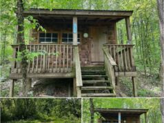 47.75± Wooded Acres with Primitive Cabin, Stream, & Road Frontage – Prime Hunting Land in Guernsey County, OH