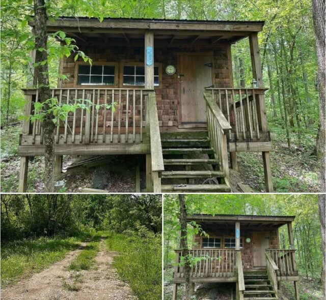 47.75± Wooded Acres with Primitive Cabin
