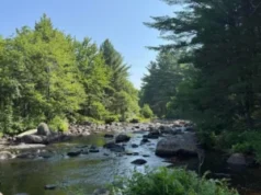 Handyman Special – 4-Bedroom Home with River Views!