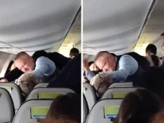 Alaska Airlines Flight 2221: How Quick Thinking Prevented Disaster