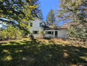 92ef5b431bdee1c6552535c32fe1f31a-cc_ft_1152-300x226