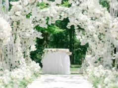 My Aunt Stole the Money Meant for My Grandparents’ Dream Wedding – She Never Expected What Was Coming