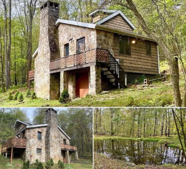 Charming cottage on 10 Acres. Two private parks and ponds. $150,000
