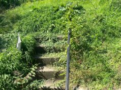 From Neglected Yard to Dream Lawn: A Stunning Homeowner Transformation