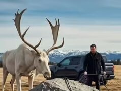 The most unlikely roadside rescue you’ll read this week