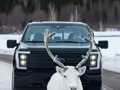 He followed hoofprints to a crater, what happened next will warm you