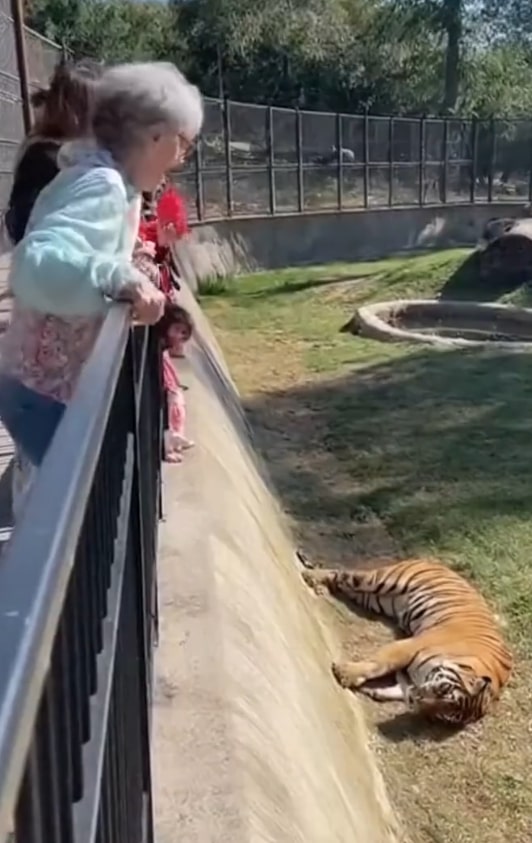 Screenshot-2025-10-27-132924