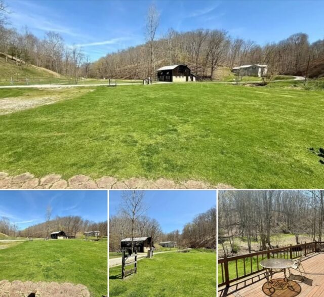 Welcome to the farm! 79+ acres of wild, wonderful West Virginia...