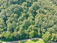 72.79 Acres of Unrestricted Hunting & Recreational Land