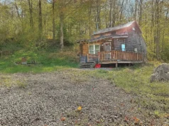 Our Private Woodland Escape