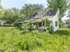 Blank Canvas with Endless Potential