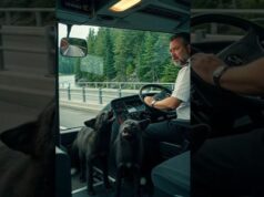 Rare Black Foxes Save Many Lives