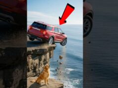 Golden Retriever Saves Family!