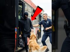 Animal Saves Everyone On The Bus!