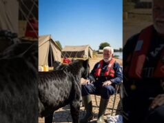 Black Jaguar Asks A Man To Save Its Cubs
