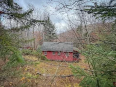 Rustic Hunting Camp on 13.2 Acres. $50,000