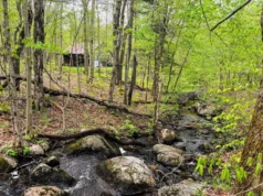134 Acres Adirondack Wilderness Camp Near Star Lake. $159,900