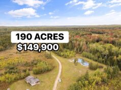 Rare opportunity! 190 Acres with Cabin & Pond. $149,900