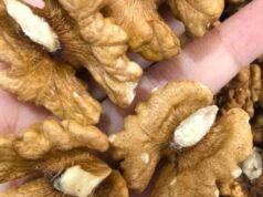 WALNUTS! THE SMALL SNACK WITH BIG HEALTH POWER