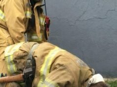 A brave group of firefighters saved a lifeless dog from a devastating fire, performing mouth-to-snout resuscitation to bring the animal back to life after it was pulled from the flames.