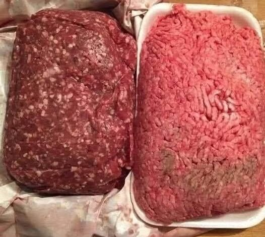 585561109_122240297228106243_5178102574923480627_n-526x470