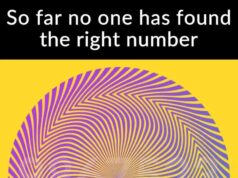 Only Those With Eagle Eyes Can Spot the Hidden Number in This Optical Illusion