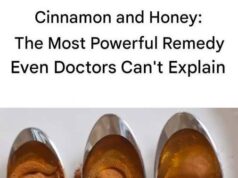 The Timeless Magic of Honey and Cinnamon: A Duo Loved Through the Ages