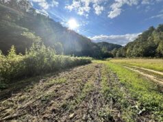 114-Acre Property in Elkhorn City, Kentucky