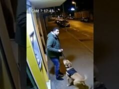 Dog Protects Owner at ATM — What the CCTV Captured Melted Everyone’s Hearts