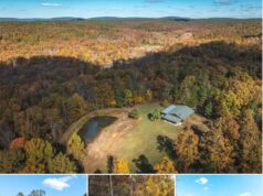 131 Acres of Pure Missouri Wilderness