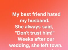 She Warned Me About My Husband… Then Disappeared for Three Years