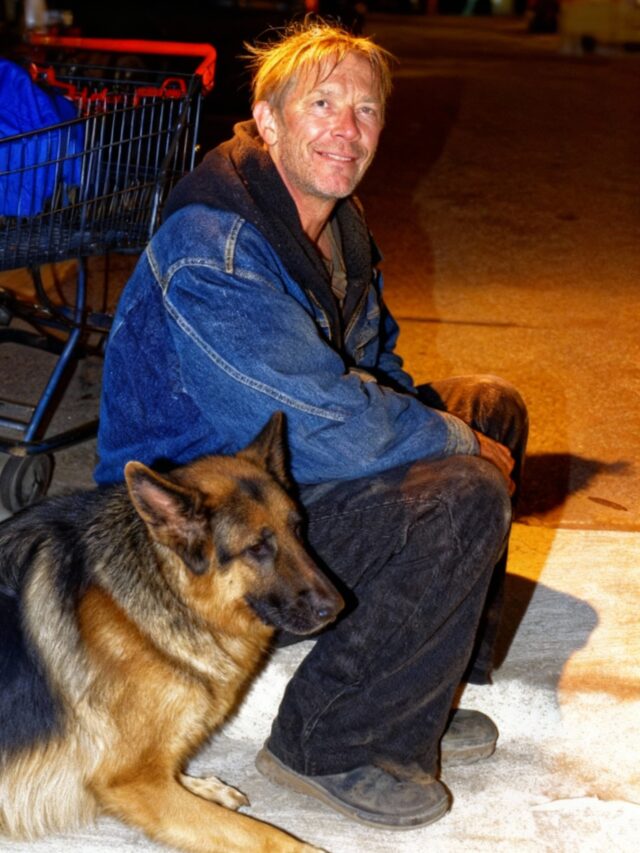 I gave food to a hungry veteran and his dog — and a month later, my boss dragged me into his office, furious, saying I Gave Food to a Hungry Veteran and His Dog – a Month Later, My Boss Drag