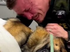 The Blade Was Inches from His Throat — Then His K9 Did the Unthinkable