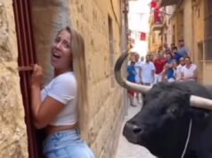 Bull corners GORGEOUS tourist, but something else was happening