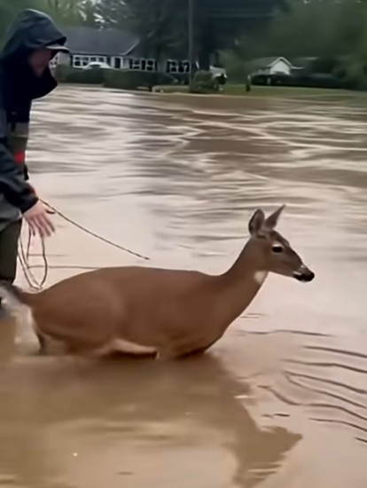 Screenshot-2025-11-25-145553