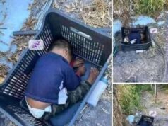 Toddler Found Under Unusual Circumstances— Who Is He?