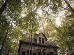 A Forgotten Home Transformed Into Something Beautiful