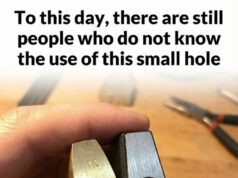 The Real Purpose of the Small Hole at the Bottom of a Padlock