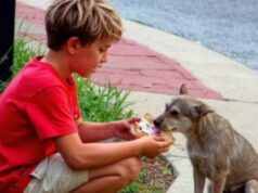 My 10-Year-Old Son Fed a Stray Dog Behind an Old Store Every Day — One Day, a Red SUV Stopped Beside Him, and What Happened Next Still Brings Me to Tears