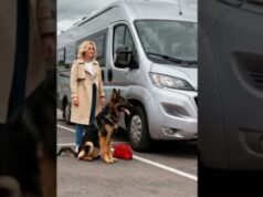 German Shepherd: An Unexpected Rescue