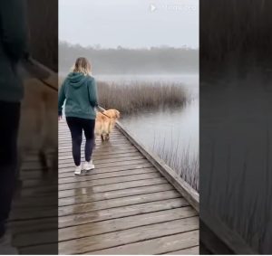 foto-4-27-300x283(1)