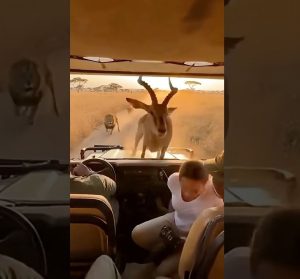 foto-6-26-300x279(1)