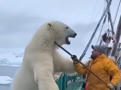 The fishermen looked over the edge and couldn’t believe what was happening