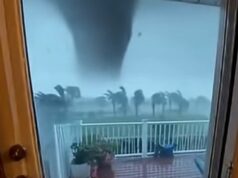 Terrifying Tornado Swept the Puppy Away but the Ending Left Everyone in Tears