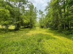 4 Unrestricted Acres Near the Clinch River